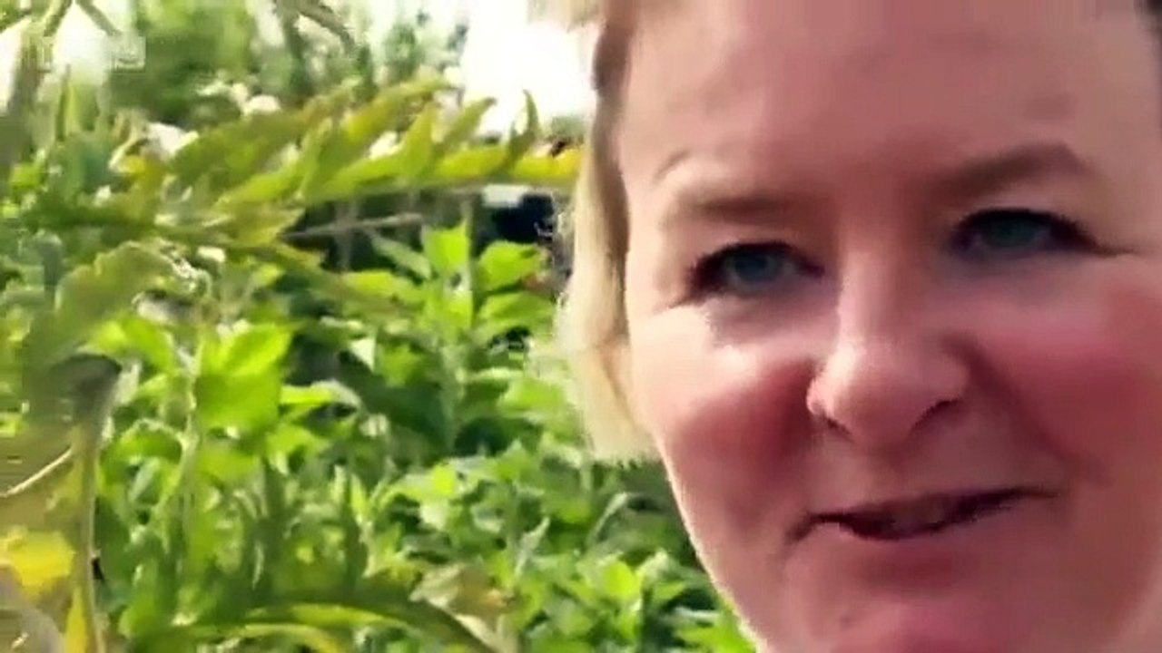 The Great Interior Design Challenge - Se3 - Ep13 HD Watch