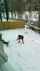 Man Struggles to Escape Slippery Yard