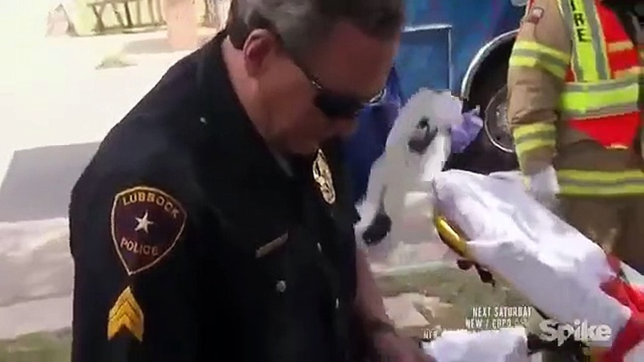 Cops - Se29 - Ep09 HD Watch