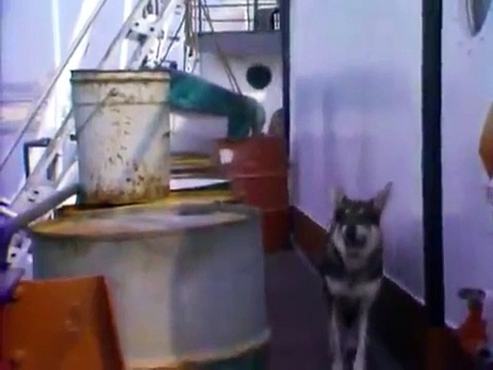 The Littlest Hobo - Se2 - Ep06 HD Watch