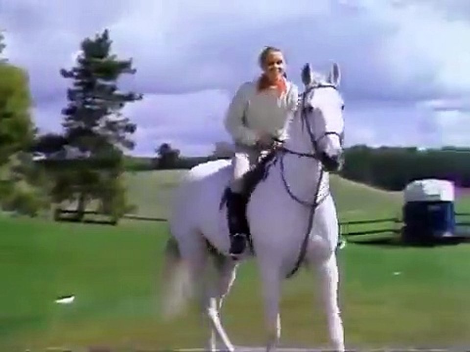 The Littlest Hobo - Se2 - Ep10 HD Watch