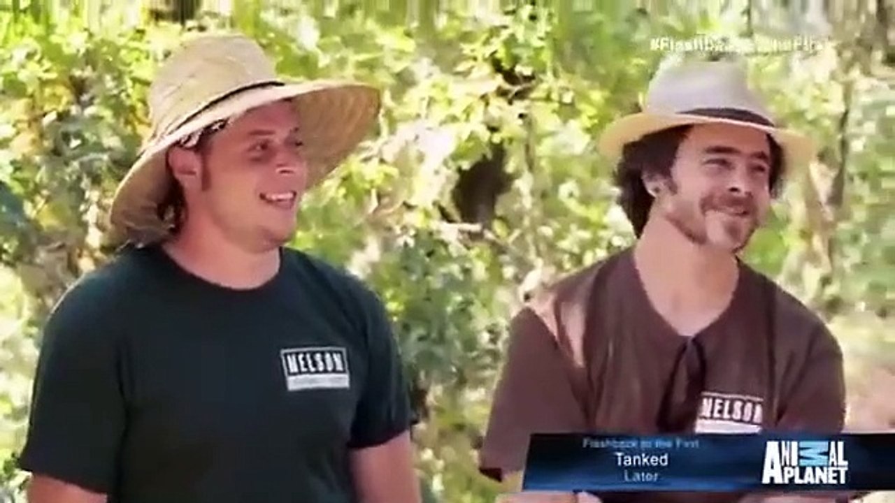 Treehouse Masters - Se4 - Ep01 HD Watch