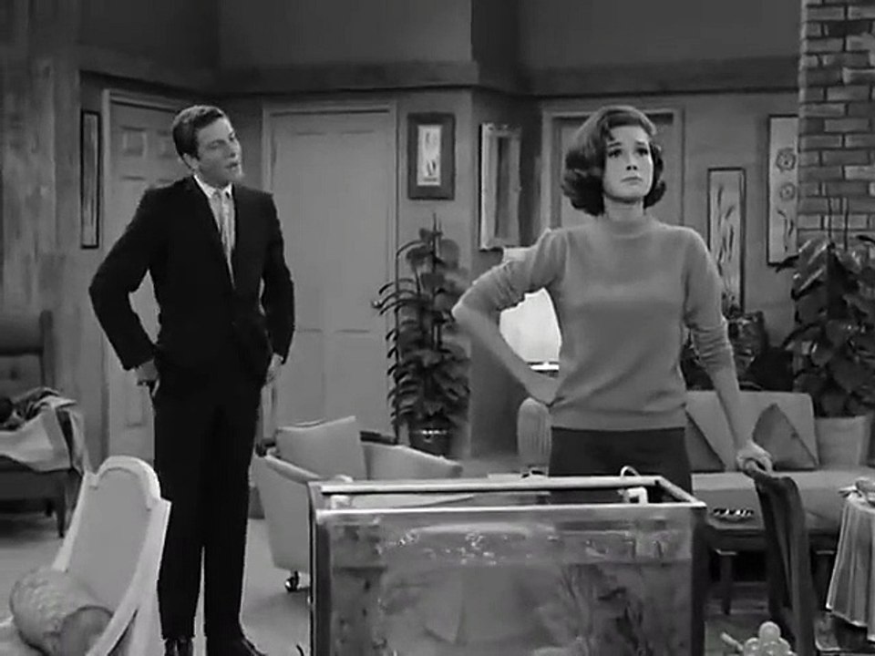 The Dick Van Dyke Show - Se2 - Ep09 HD Watch