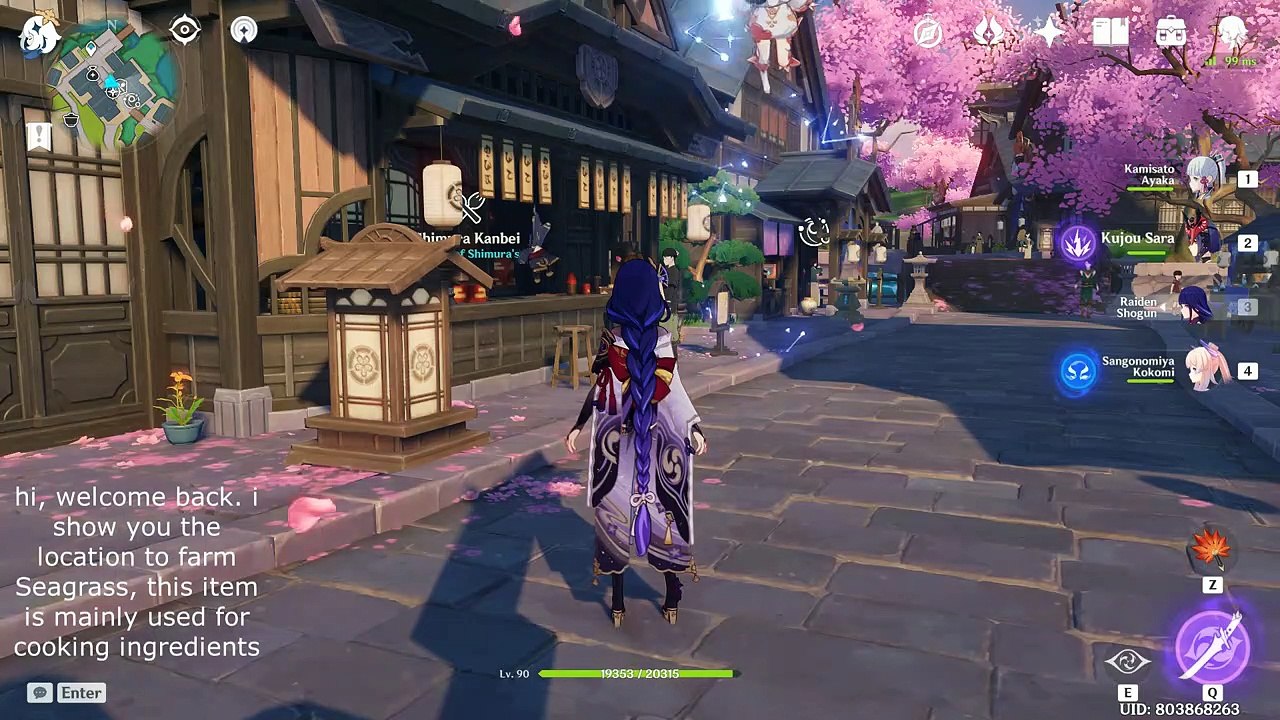 Genshin Impact | Seagrass Farming Route and Location Guide Part 1 Narukami Island