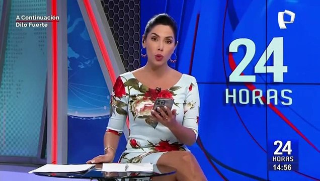 Presidencia agradece a Mario Vargas Llosa por su respaldo a la sucesión de Dina Boluarte