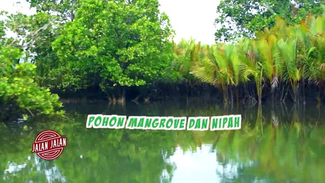 Menyusuri Muara Lakalogoh di Buton, Mirip Sungai Amazon Lho! | JALAN JALAN