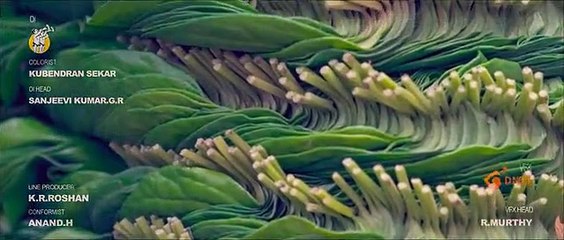 Pattathu Arasan (2022) Tamil HDRip Full Movie – Part 1 🎬