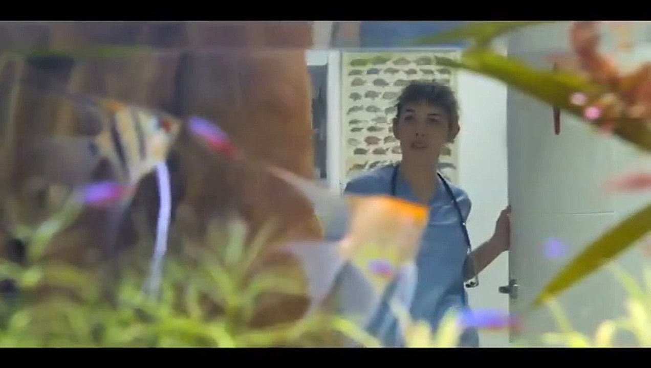 The Neighbor (El Vecino) - Se1 - Ep04 HD Watch