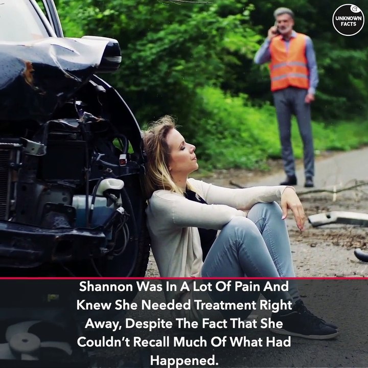 Homeless Dog Pulls Woman From A Car Crash And Drags Her Over 100 Ft To Find Help