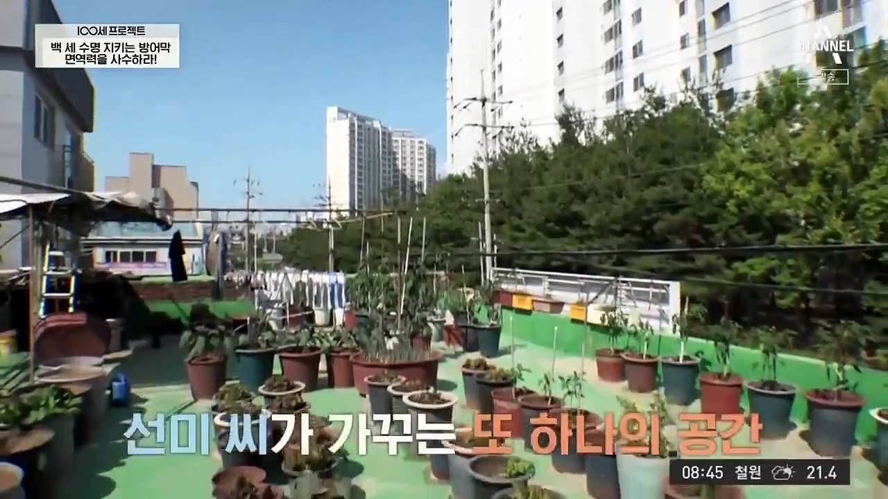 100 Years Old Project - Se01 - Ep65 Watch HD