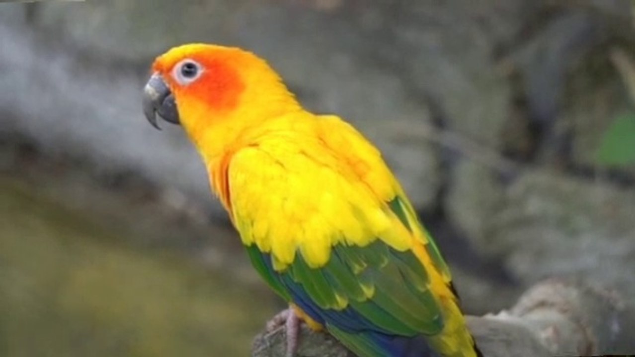 If you ever go to such a place and see what heaven is, you will know. #Come let's see what heaven is #Let's pray to God for the welfare of the world