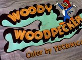 Woody Woodpecker Woody Woodpecker E108 – Gabby’s Diner