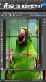 Easy Remove a Birdcage- Photoshop Shorts Tutorial #howto #shorts #photoshop #tutorial #birdcage