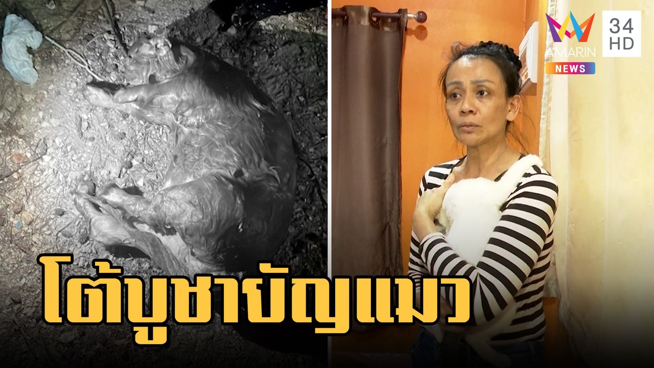 เจ้าของแมวเปอร์เซียช้ำ หาย 4 วัน เพื่อนบ้านขับรถทับตายโต้บูชายัญ | ข่าวเที่ยงอมรินทร์ | 21 ก.พ.66