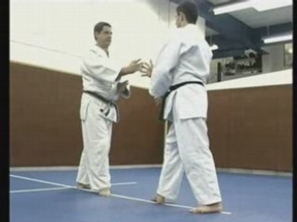 Aikido ecole Yoshinkan