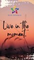 Live in the moment‼️ | motivation Video | motivational quotes | quotes of the day | quotes in  Hindi | quotes in English