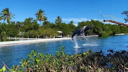 FAKTA UNIK SEPUTAR LUMBA-LUMBA