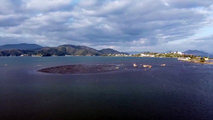 Fethiye'de deniz suyu çekildi