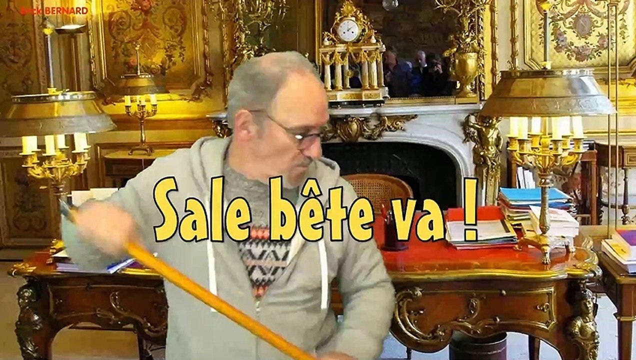 Sale bête va !
