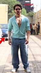 टायगर आला पण चर्चा हाताची