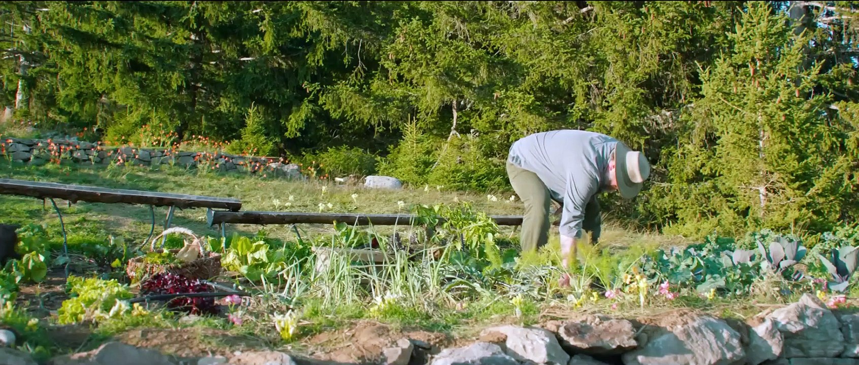 Les choses simples - Trailer