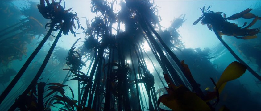 Les gardiennes de la planète : un documentaire avec Jean Dujardin (Bande-annonce officielle)