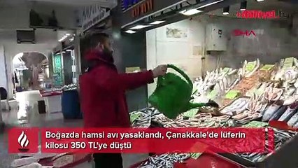 Boğazda hamsi avı yasaklandı, Çanakkale'de lüferin kilosu 350 TL'ye düştü