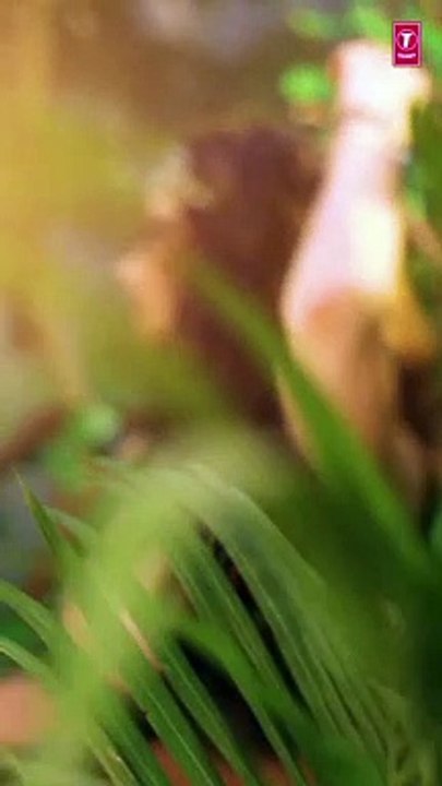 Biba Teaser | Sachet Tandon | Mohd Danish | Georgia Andriani | Lijo George-DJ Chetas | Dhruv Yogi