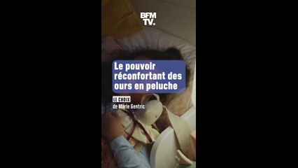 Les ours en peluche ont un pouvoir, celui de (tous) nous réconforter