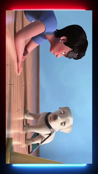 Animals Life Story Funniest ???? Dogs and ???? Cats - Try Not To Laugh ????