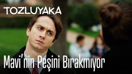 Mavi'nin peşini bırakmıyor - Tozluyaka