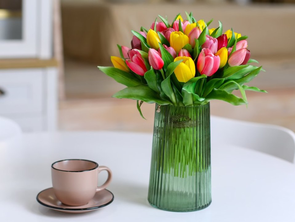 Bunte Frühlingsboten: So bleiben Tulpen lange frisch