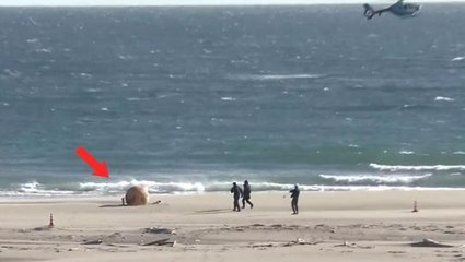 Japonya'da gizemli küre alarmı! Bölgeye bomba imha ekibi sevk edildi