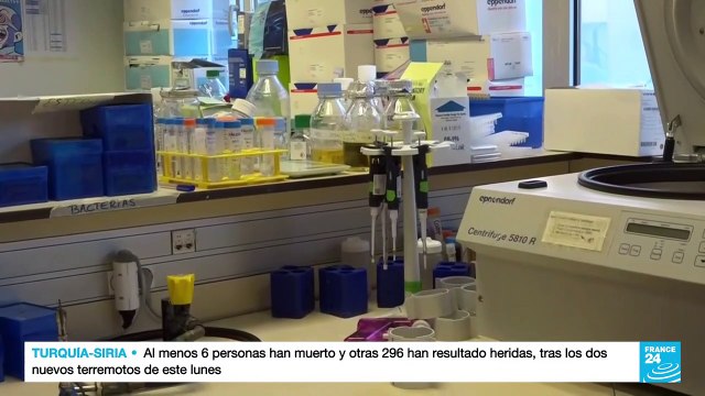 VIH: tercer caso de curación confirmado tras trasplante de médula ósea