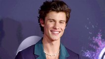 Shawn Mendes Talks About Taking Time-Out For His Mental Peace By Pausing On Tours!