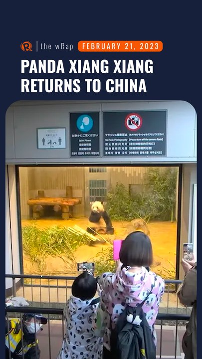 Tears and photos as Japan sends giant panda ‘home’ to China