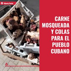 Carne mosqueada y colas para el pueblo cubano es lo que ofrece la dictadura