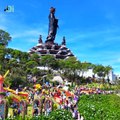 Núi Bà Đen, Tây Ninh rực rỡ sắc hoa