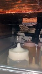 Uno de los vídeos grabados por la exempleada en la cervecería de Alicante.