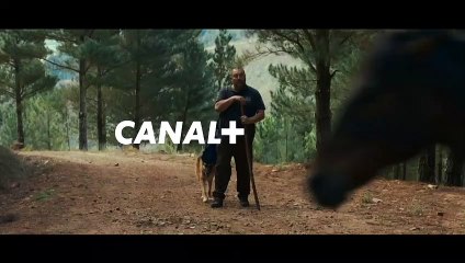 As bestas - 28 février