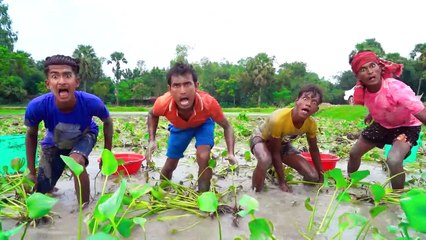 New Entertainment Top Funny Video Best Comedy in 2022 Episode 39 by Funny Family