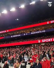 Benfica Luz