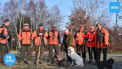 Chasse en forêt de la Londe : la sécurité
