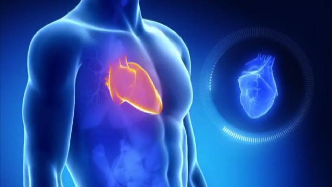 Malattie cardio cerebro e vascolari, un Paper di Meridiano Cardio