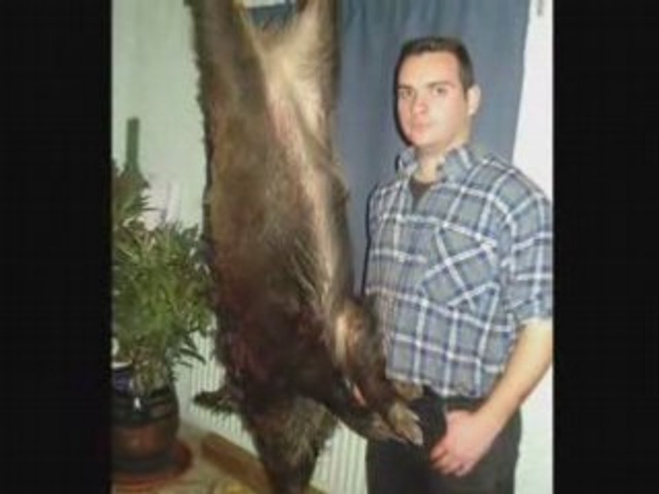 chasse des egaux