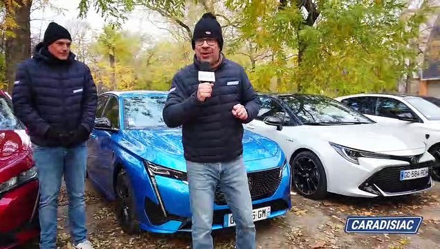 Essence, diesel, hybride, hybride rechargeable ou électrique, quelle est la meilleure carburation pour faire 1 000 km ?