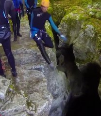 Cliff Jumping Not Always Goes Right!