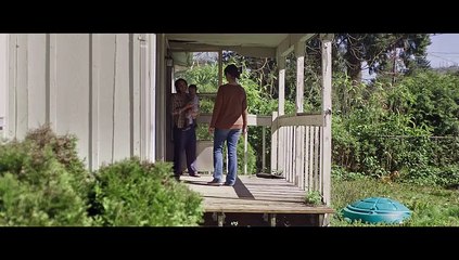 Fremd in der Welt (2017)