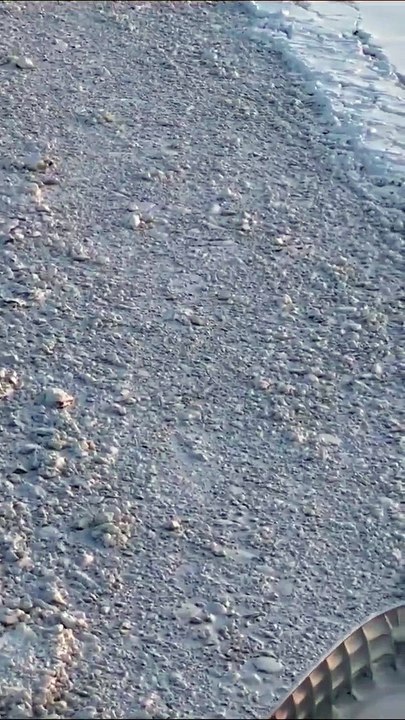 Des renards polaires font la course avec un navire brise-glace sur la banquise