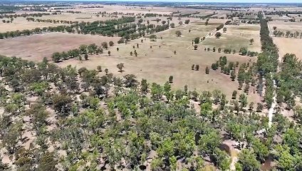 Wyuna former dairy farm | February 22, 2023 | Farmonline